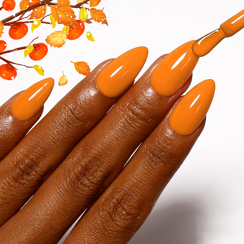 AWStorG 7.5ml 10 Colors Nail G - Nail Art Orange 评论和价格